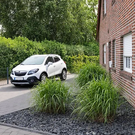 Riedgrashaus Riedgras 6 *