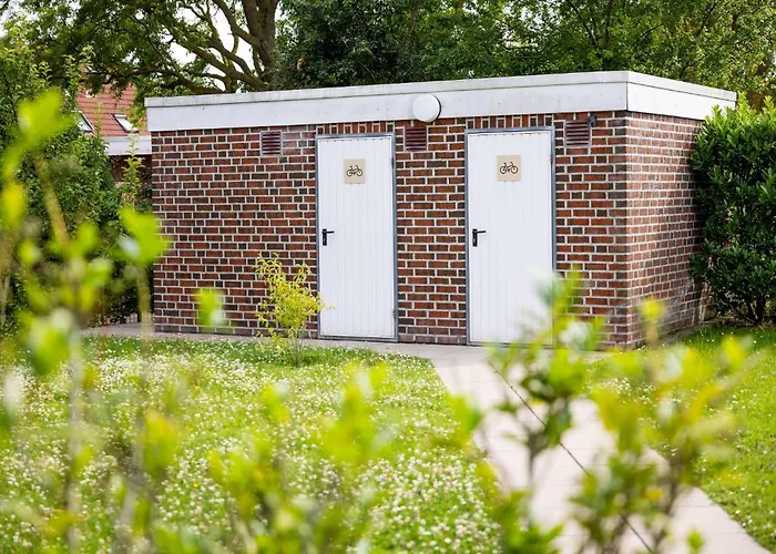 Daire Riedgrashaus Riedgras 6